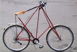 Petersen Bike