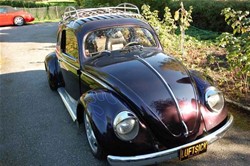 VW 1950